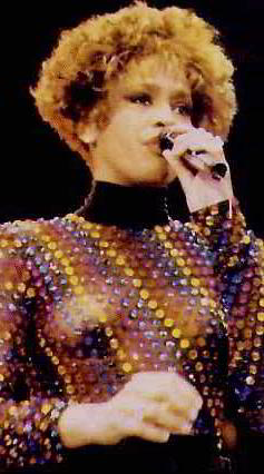Whitney houston naked